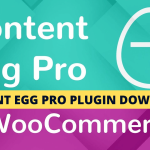 Content Egg Pro WordPress Plugin Download (2025)