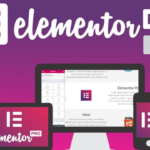 Elementor Pro Pricing (2025): Renewal Price, Annual Cost, and Discounts Offers!