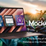 The Benefits of Hosting Multiple Websites on One MochaHost Account