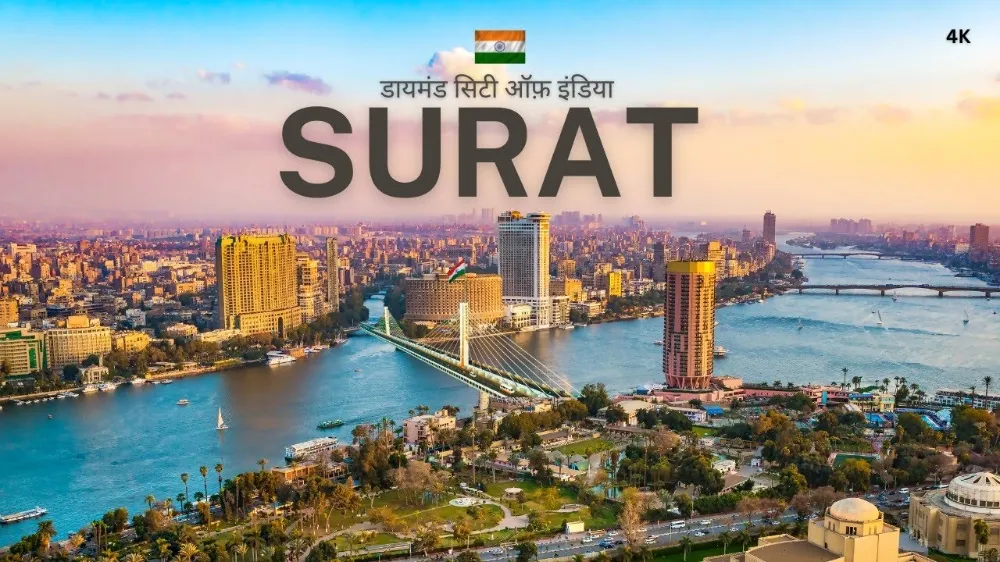 SEO Company in Surat