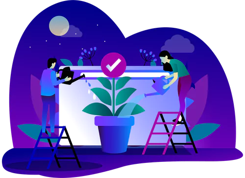 Why do you require SEO Services from Nightowl