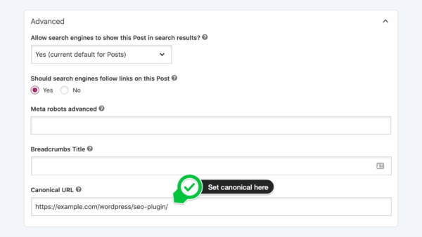 Yoast SEO Canonical URLs and Technical SEO Controls